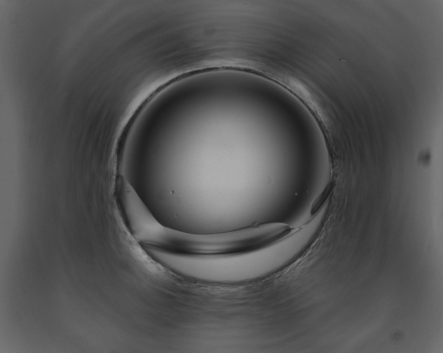 X0000091671140200708231323