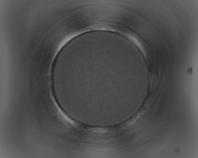 X0000091671141200708231323
