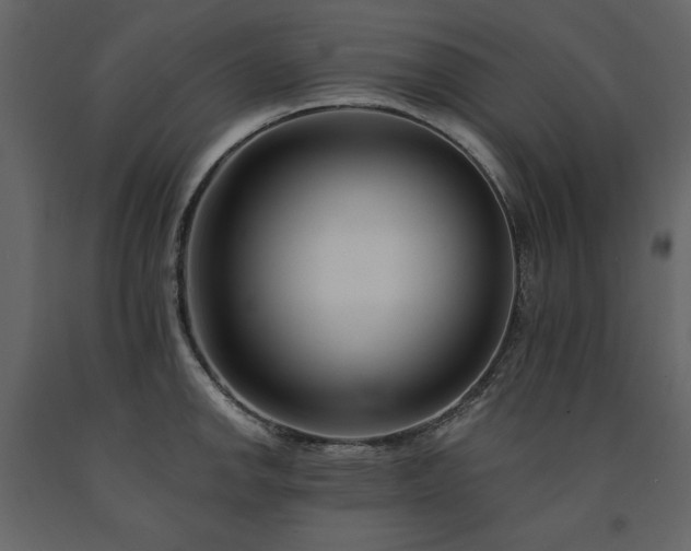 X0000091671142200708231323