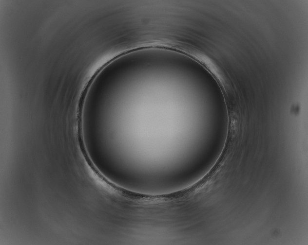 X0000091671143200708231323