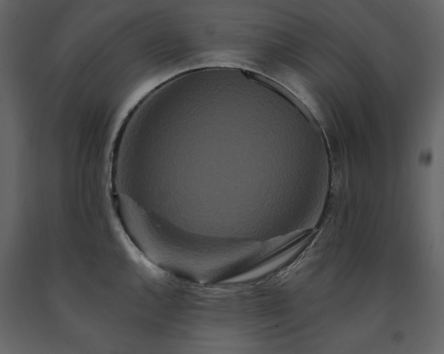 X0000091671144200708231323
