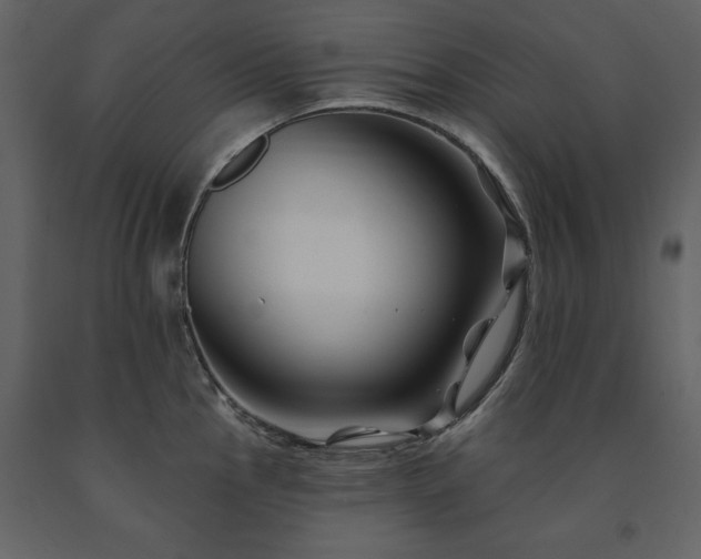 X0000091671145200708231323