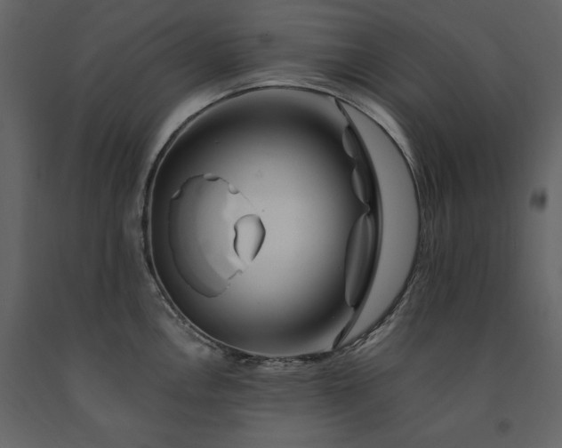 X0000091671146200708231323