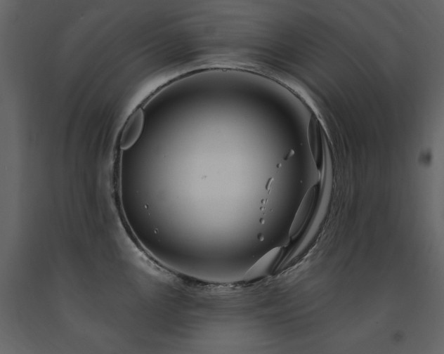 X0000091671147200708231323