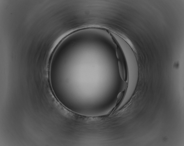 X0000091671148200708231323