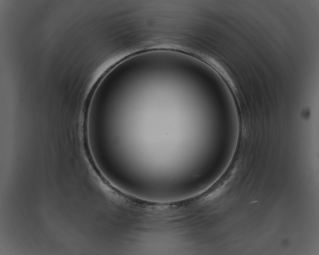 X0000091671149200708231323