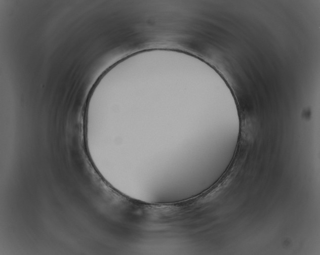 X0000091671150200708231323