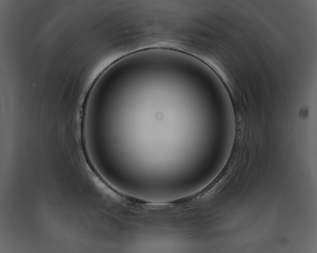 X0000091671151200708231323