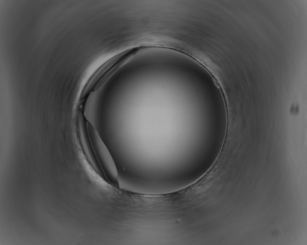 X0000091671152200708231323