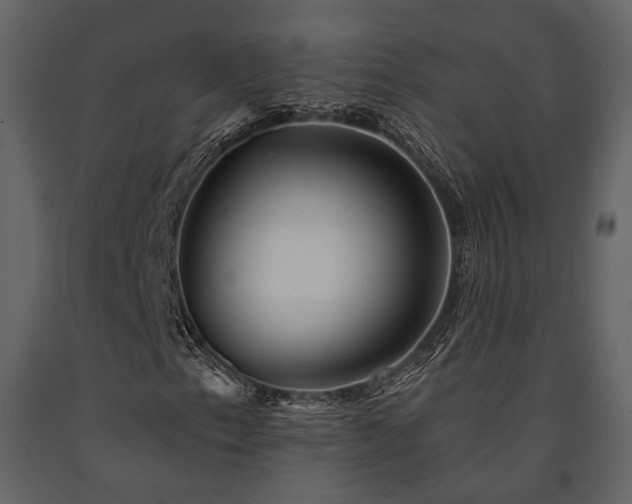 X0000091671153200708231323