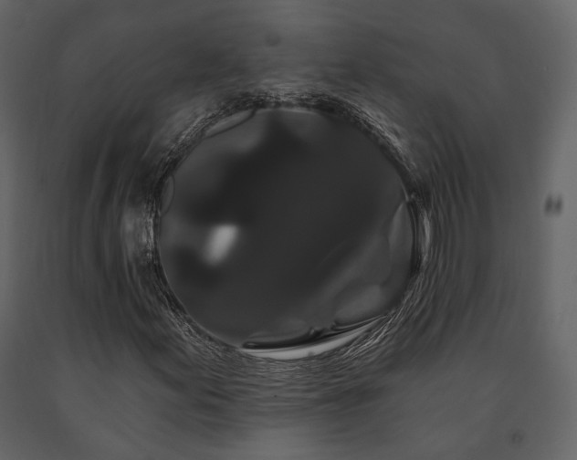 X0000091671155200708231323