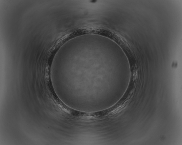 X0000091671156200708231323