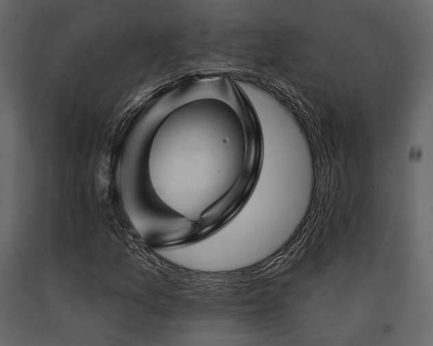 X0000091671157200708231323