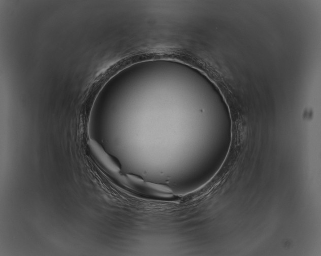 X0000091671158200708231323