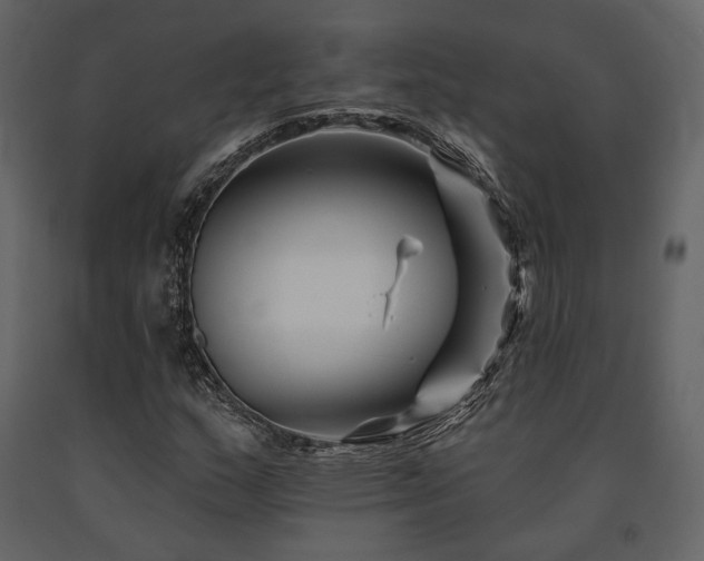 X0000091671159200708231323