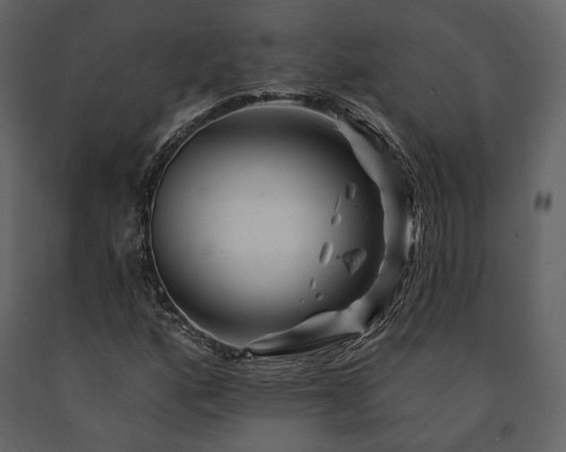 X0000091671160200708231323