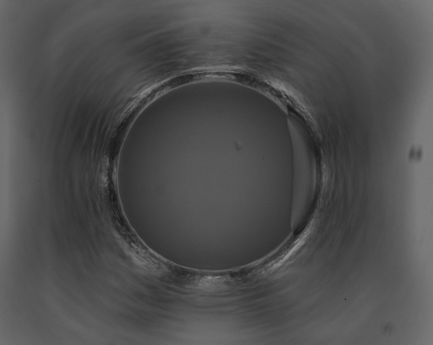 X0000091671161200708231323