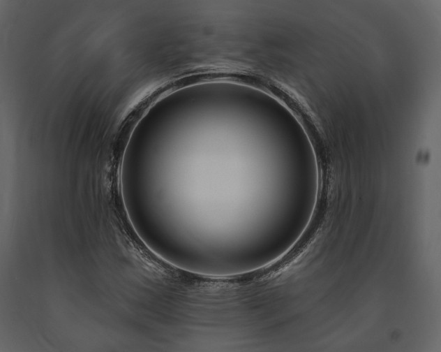 X0000091671163200708231322