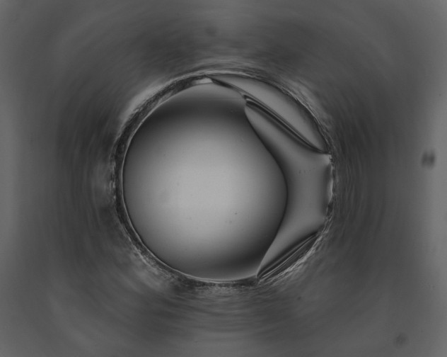X0000091671164200708231322