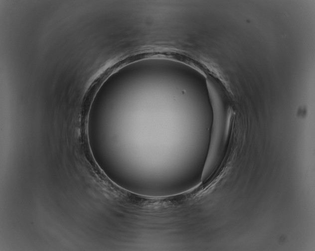 X0000091671165200708231322