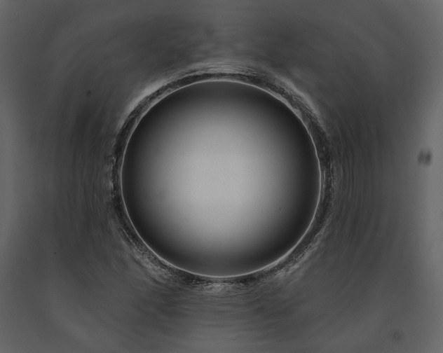 X0000091671166200708231322