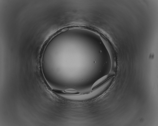X0000091671168200708231322