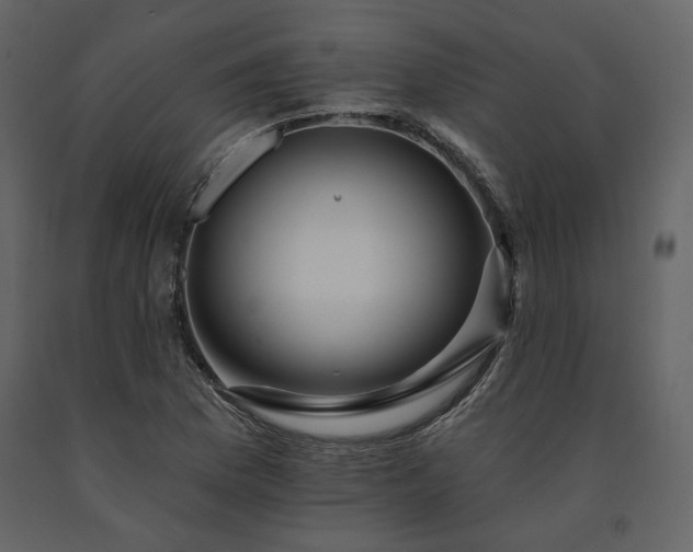 X0000091671169200708231322