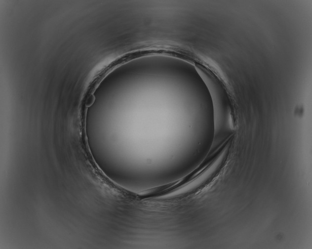 X0000091671172200708231322
