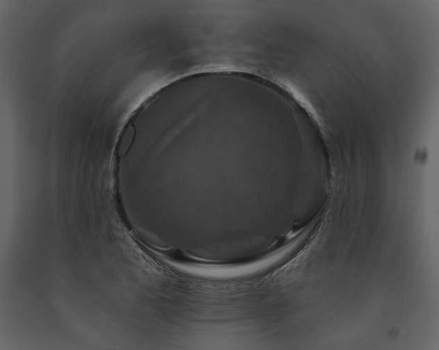 X0000091671173200708231322