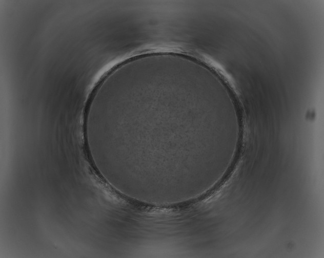 X0000091671174200708231322