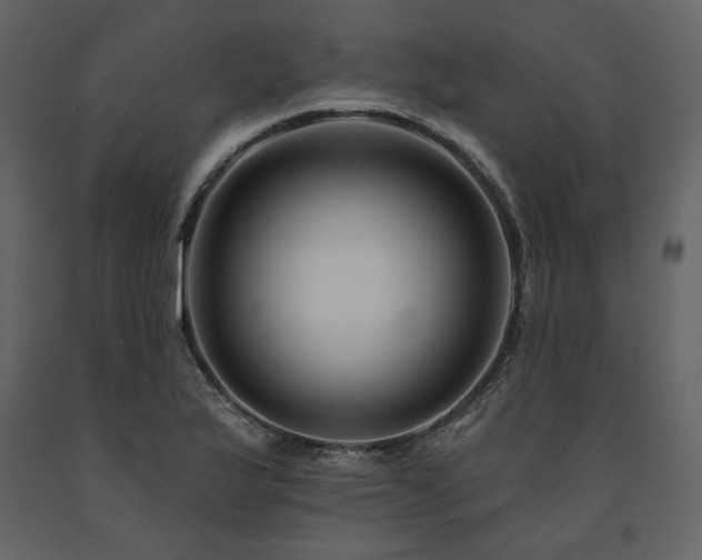 X0000091671175200708231322