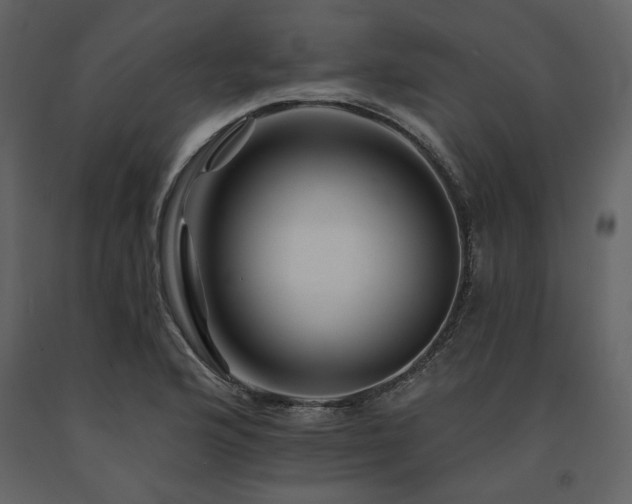 X0000091671176200708231322
