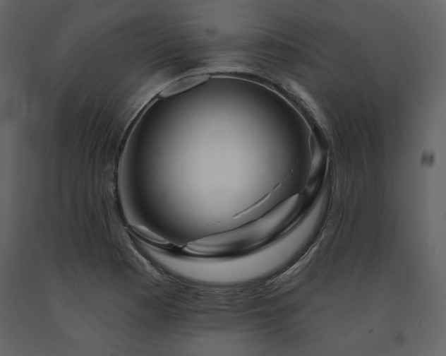 X0000091671177200708231322