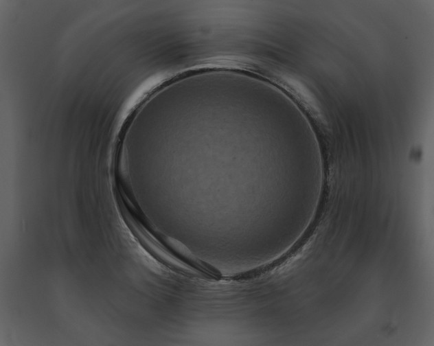 X0000091671180200708231322