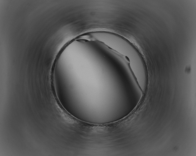 X0000091671181200708231322
