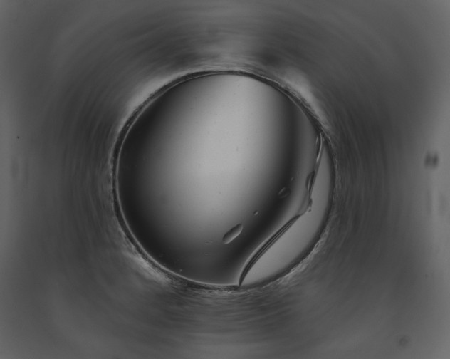 X0000091671184200708231322