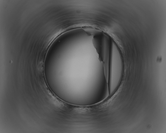 X0000091671185200708231322