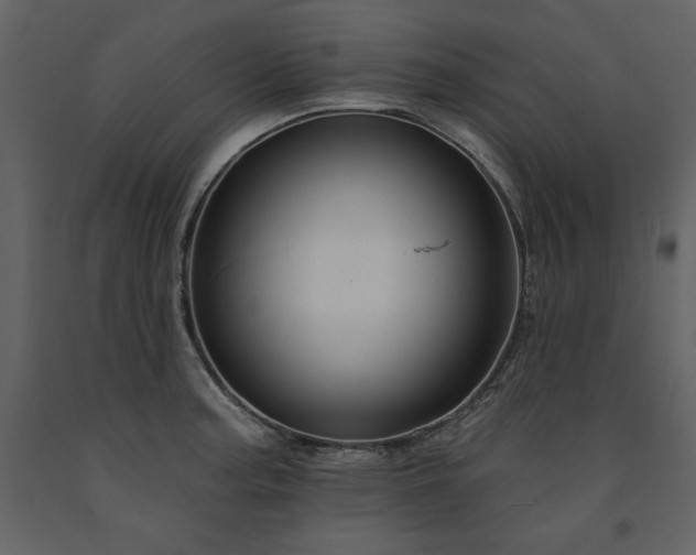 X0000091671187200708231322