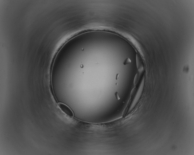 X0000091671191200708231322