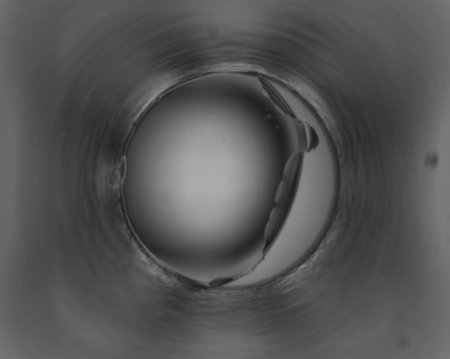 X0000091671193200708231322