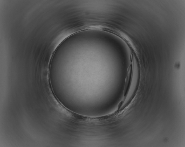 X0000091671194200708231322