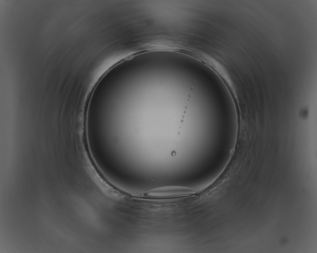 X0000091671195200708231322