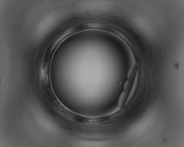 X0000091671198200708231322