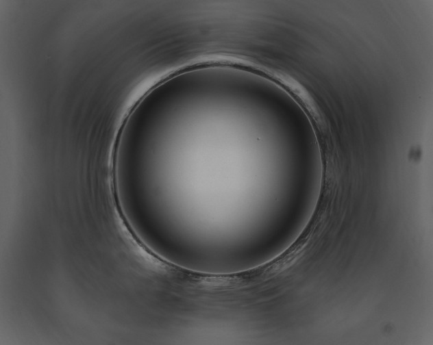 X0000091671199200708231322