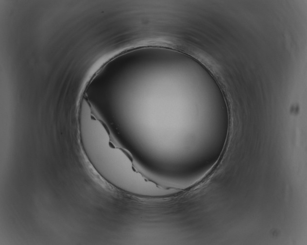 X0000091671200200708231322