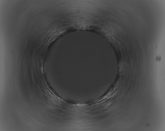 X0000091671202200708231321
