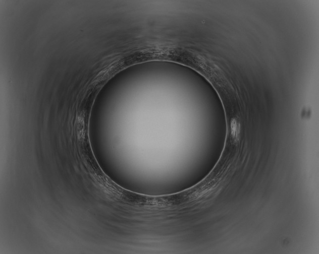 X0000091671203200708231321