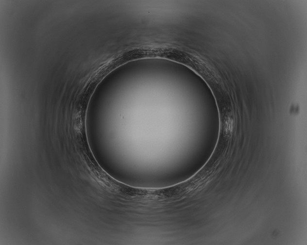 X0000091671204200708231321