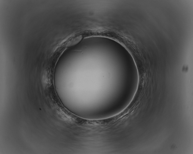 X0000091671205200708231321