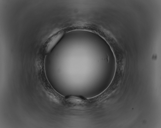 X0000091671206200708231321